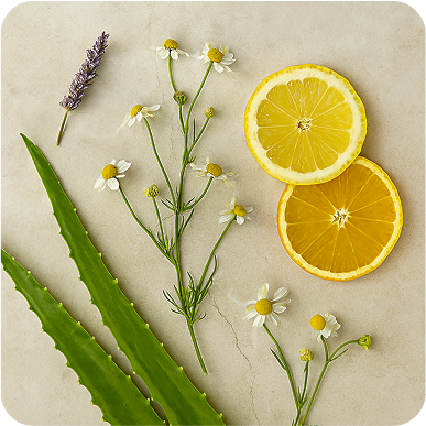 Top 5 Natural Ingredients for Radiant Skin